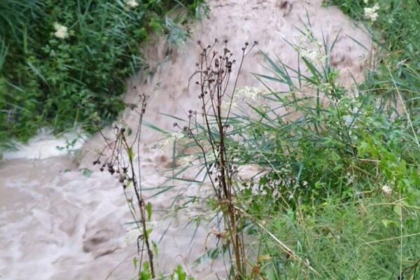 Technische Hilfeleistung: Wasser im Keller