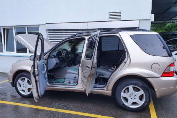 Brand klein: Auto brennt