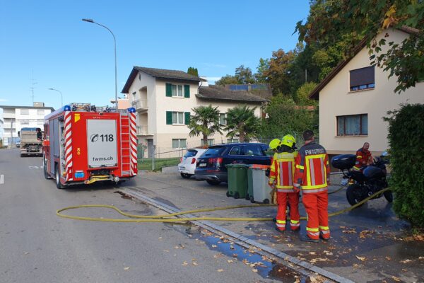 Brand klein: Hecke brennt