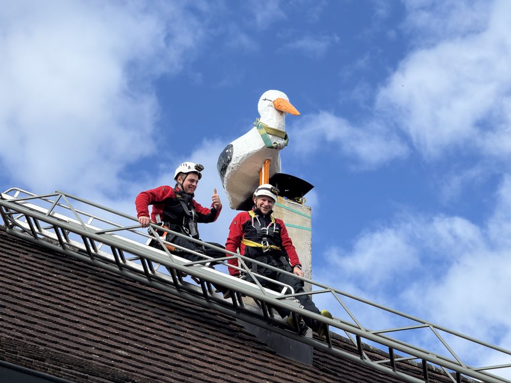 Nachwuchs in der Feuerwehrfamilie